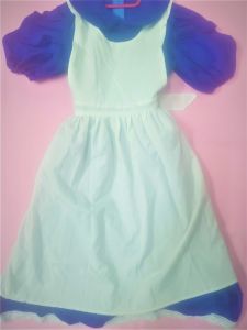 Kids Costumes to Hire - Roya Blue Dress & White Apron - GIRL